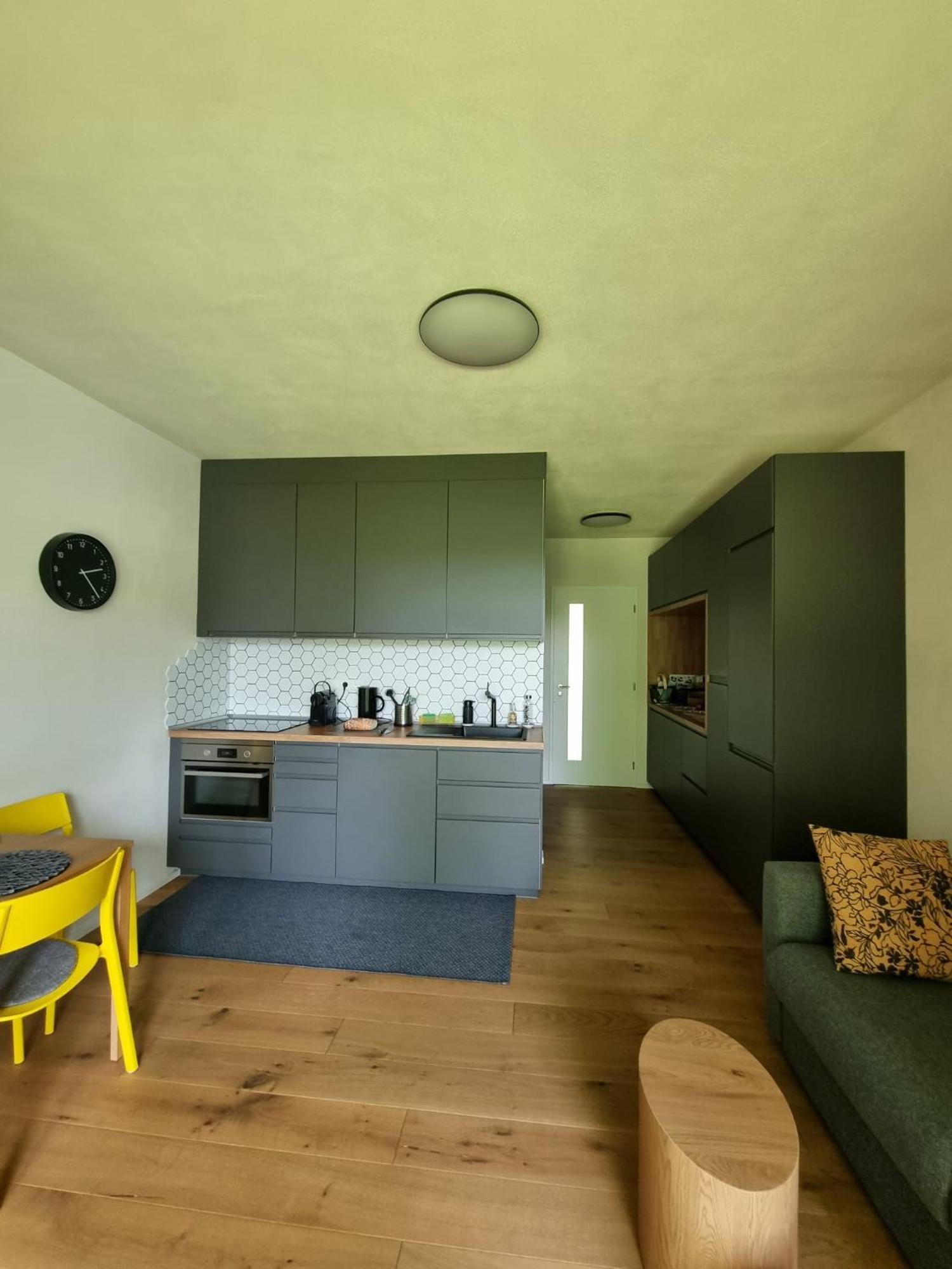 Apartman Berg Brcalnik Zelezna Ruda Exterior foto